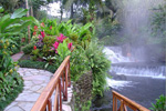 Tabacon Hot Springs