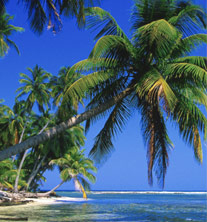 Port of Call - Belize
